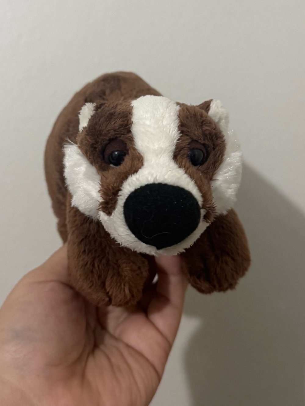 Webkinz Badger